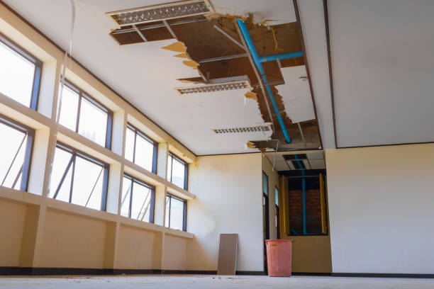 Best Emergency water damage restoration  in Trinidad, CO