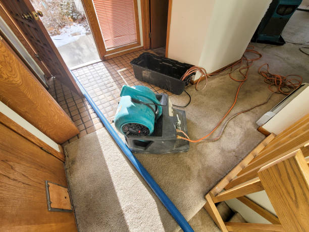 Best Carpet water damage restoration  in Trinidad, CO