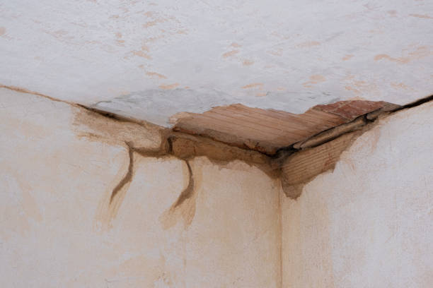 Best Fire Damage Restoration  in Trinidad, CO