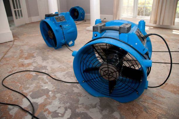 Best Residential water damage restoration  in Trinidad, CO
