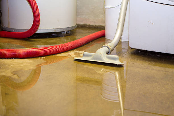 Best Commercial water damage restoration  in Trinidad, CO