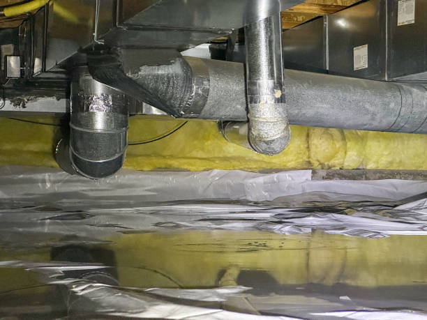 Best Residential water damage restoration  in Trinidad, CO