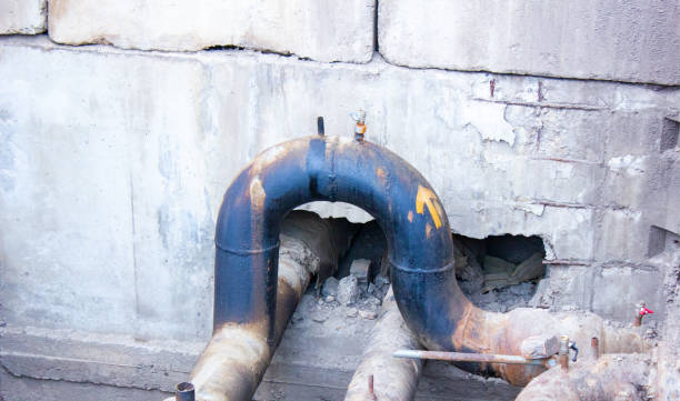 Best Sewage cleanup and water damage restoration  in Trinidad, CO
